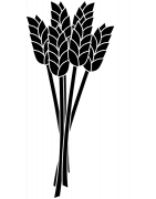 MOLINOS ELÉCTRICOS DE CEREALES